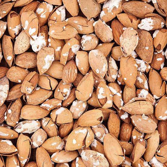 تصویر 1 از خرید و قیمت عمده بادام کاغذی برشته نمکی + خرید مستقیم